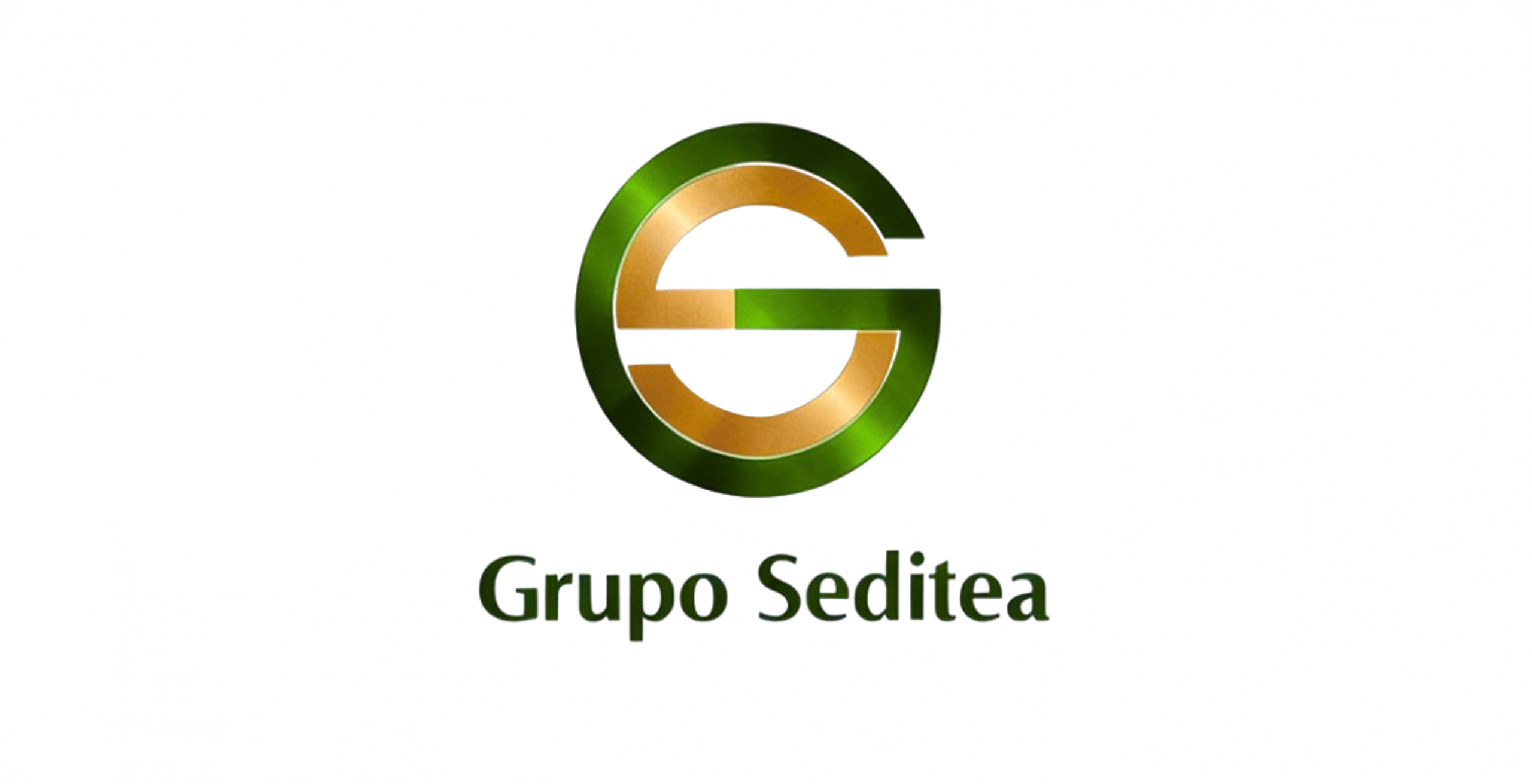 Grupo_Seditea2